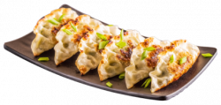 Gemüse Gyoza vegetarisch